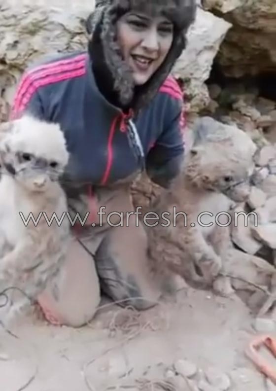 التحقيق مع صحفية اردنية ظهرت في فيديو وهي تصطاد الضباع صورة رقم 4