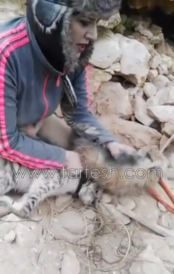 التحقيق مع صحفية اردنية ظهرت في فيديو وهي تصطاد الضباع صورة رقم 5