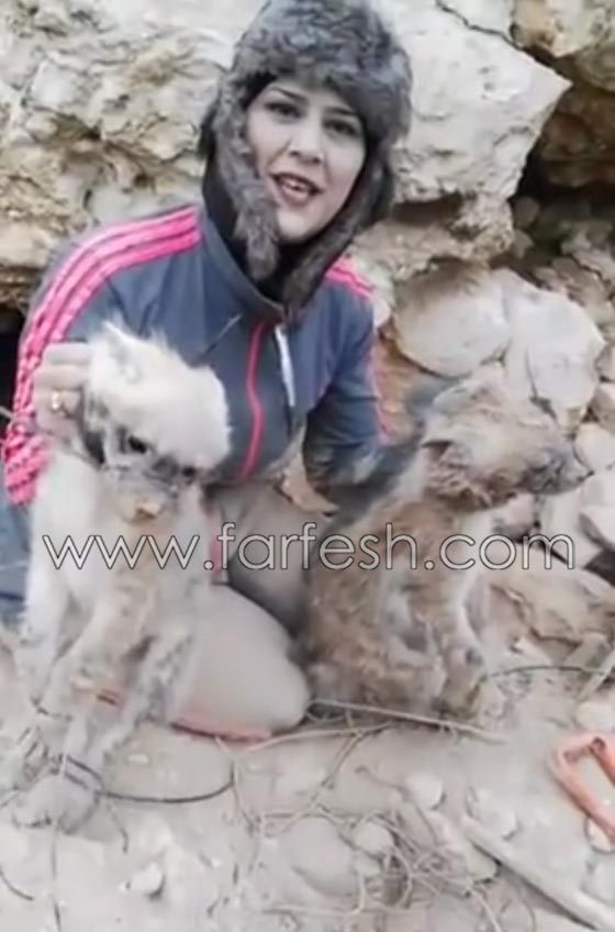 التحقيق مع صحفية اردنية ظهرت في فيديو وهي تصطاد الضباع صورة رقم 6