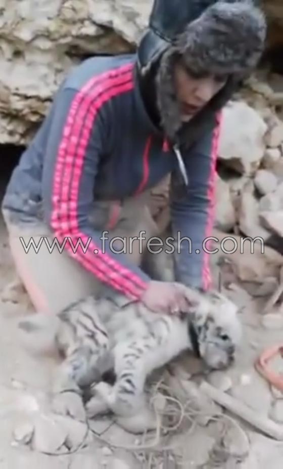 التحقيق مع صحفية اردنية ظهرت في فيديو وهي تصطاد الضباع صورة رقم 15