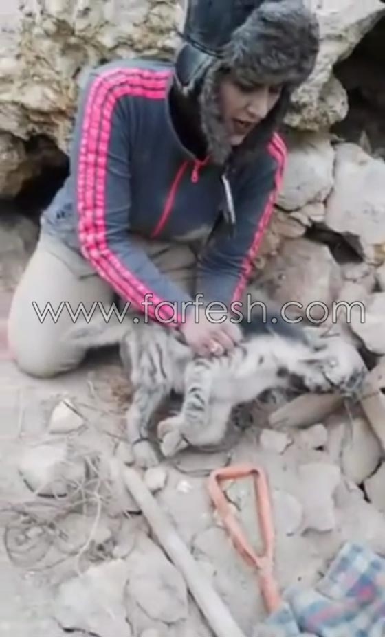 التحقيق مع صحفية اردنية ظهرت في فيديو وهي تصطاد الضباع صورة رقم 16