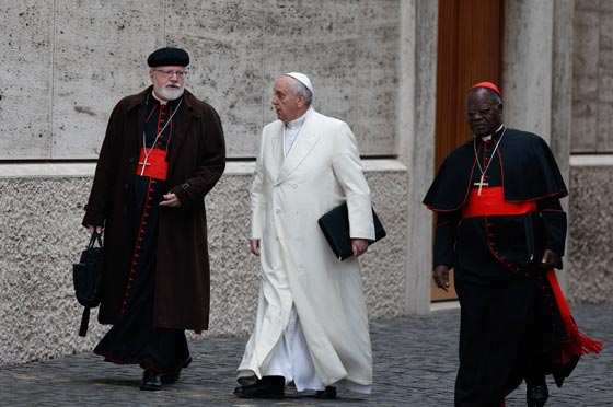 تمرد ضد اصلاحات البابا بشأن الطلاق والزواج والمثلية قد يجبره على الرحيل صورة رقم 4