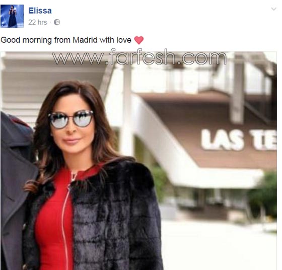 صور خطوبة اليسا من المصور وديع النجار: حقيقة ام اشاعة؟ صورة رقم 1