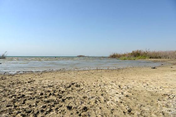 صور خطيرة: المياه في بحيرة طبرية وصلت إلى أدنى مستوى منذ قرن صورة رقم 3