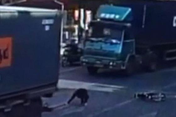 فيديو وصور: سائق دراجة نارية متهور ينجو من الموت سحقا بعجلات شاحنة صورة رقم 4