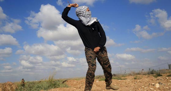 صور فتيات ونساء فلسطينيات مقاومات يواجهن جنود اسرائيل صورة رقم 2