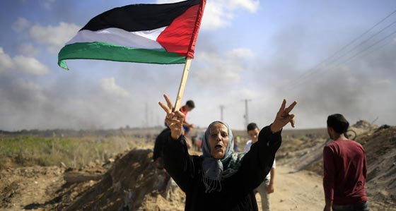 صور فتيات ونساء فلسطينيات مقاومات يواجهن جنود اسرائيل صورة رقم 4