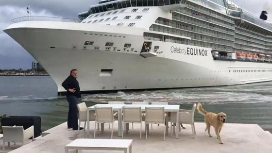 سفينة سياحية عملاقة تدب الرعب في قلوب سكان منزل فخم كادت تبتلعه صورة رقم 3