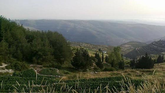  هل هو الزلزال؟! شق عميق في جبل على الساحل السوري يثير الريبة صورة رقم 2