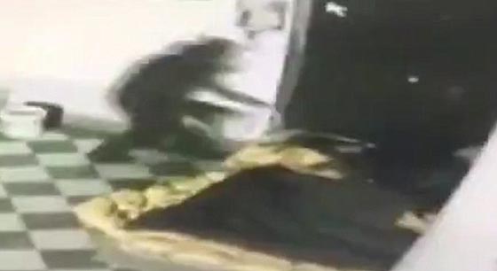  فيديو صادم: عامل محطة وقود يرش البنزين على عشيق زوجته  ويحرقه! صورة رقم 2