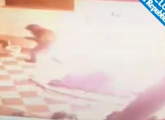  فيديو صادم: عامل محطة وقود يرش البنزين على عشيق زوجته  ويحرقه! صورة رقم 6