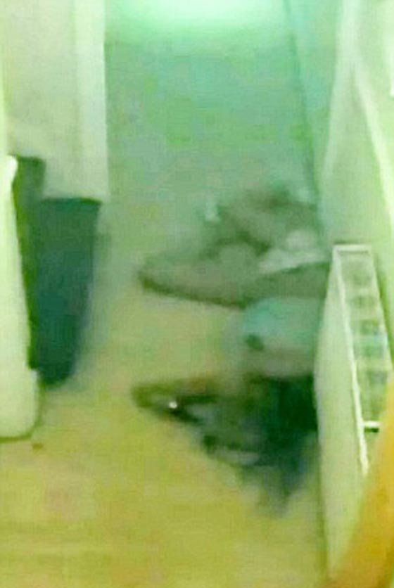  فيديو عنيف:  ضرب 