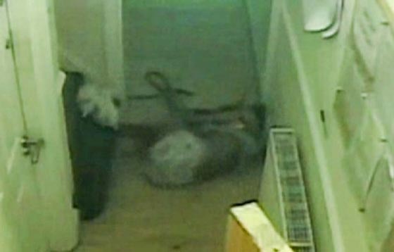  فيديو عنيف:  ضرب 