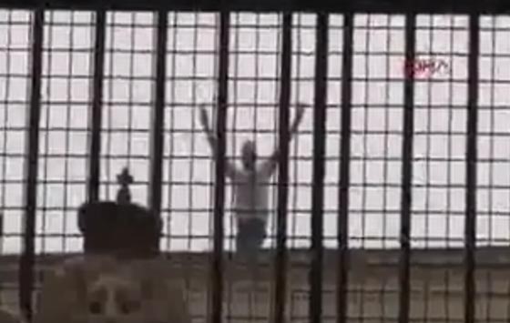    لاهاي تطرد وزيرة تركية، ومتظاهرون ينزعون علم هولندا من قنصليتها بإسطنبول!  صورة رقم 4