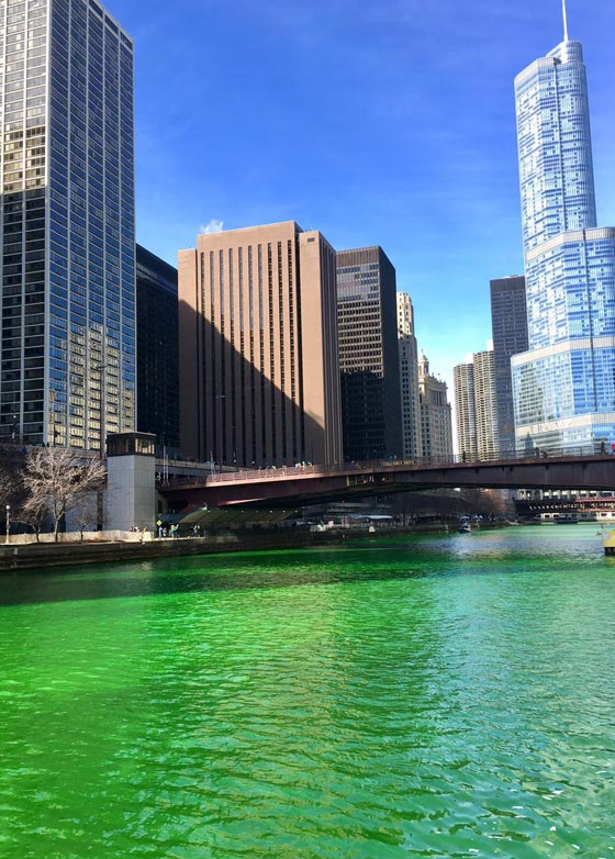 فيديو طريف: لماذا تم صبغ  نهر شيكاغو باللون الاخضر؟ صورة رقم 1