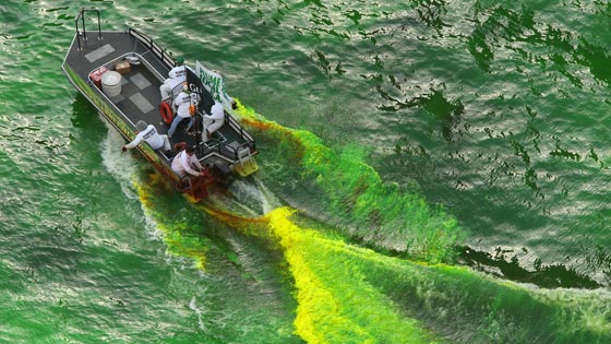 فيديو طريف: لماذا تم صبغ  نهر شيكاغو باللون الاخضر؟ صورة رقم 4