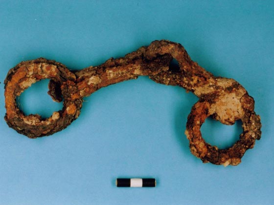  العثور على حطام سفينة في ميناء عكا محملة بعملات ذهبية من حقبة الصليبيين  صورة رقم 3