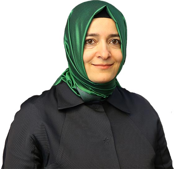 فيديو صادم:  السلطات الهولندية تحتجز الوزيرة التركية وتطردها الى المانيا صورة رقم 4