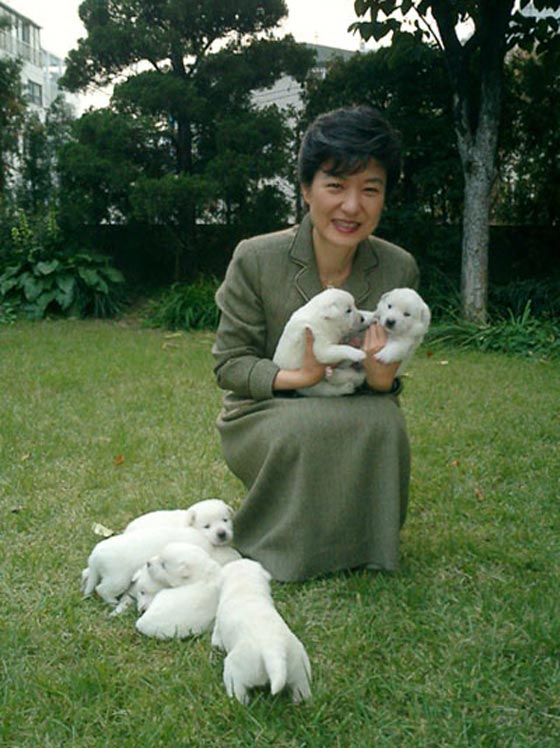  شكوى ضد الرئيسة المعزولة في كوريا الجنوبية بسبب اهمالها لكلابها صورة رقم 5