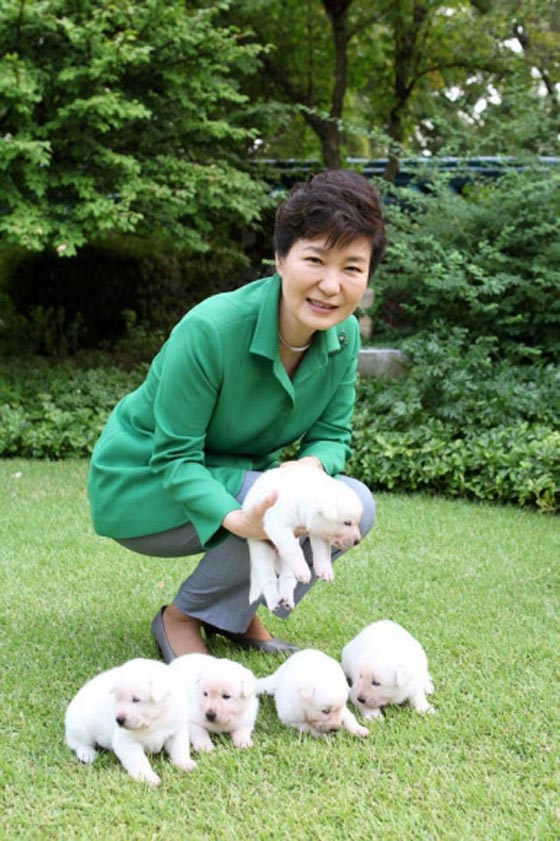  شكوى ضد الرئيسة المعزولة في كوريا الجنوبية بسبب اهمالها لكلابها صورة رقم 6