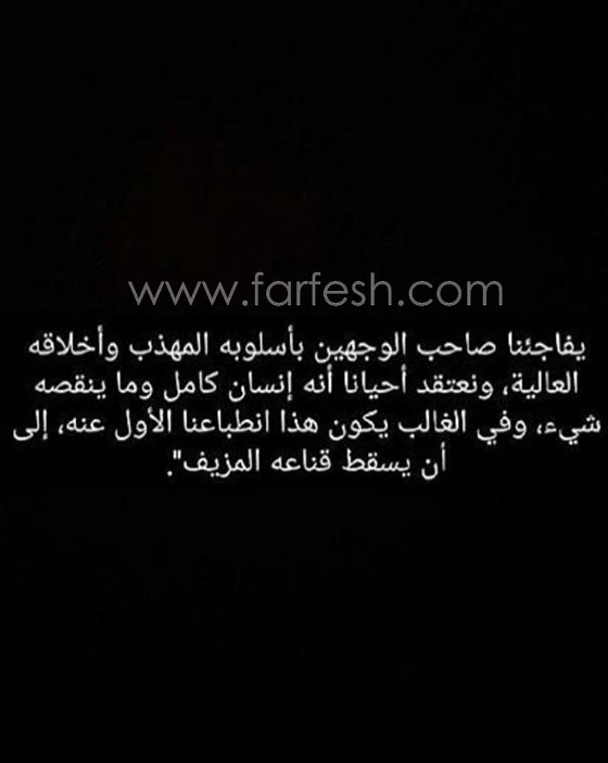 حرب الشتائم القبيحة تشتعل بين هيفاء وهبي والإعلامية نسرين ظواهرة  صورة رقم 3