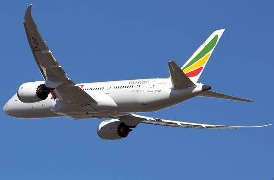  هبوط اضطراري لطائرة اثيوبية بسبب شجار عنيف بين راكبين.. فيديو صورة رقم 3