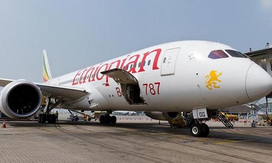  هبوط اضطراري لطائرة اثيوبية بسبب شجار عنيف بين راكبين.. فيديو صورة رقم 1