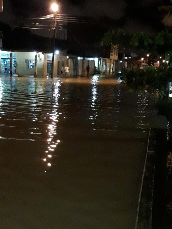 الإكوادور وبيرو.. الأمطار الغزيرة تلحق الدمار وتقتل العشرات  صورة رقم 7