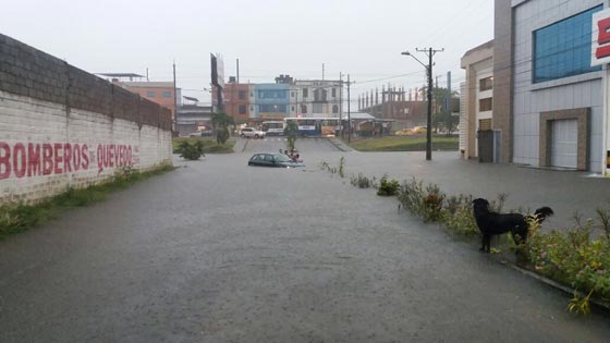 الإكوادور وبيرو.. الأمطار الغزيرة تلحق الدمار وتقتل العشرات  صورة رقم 8