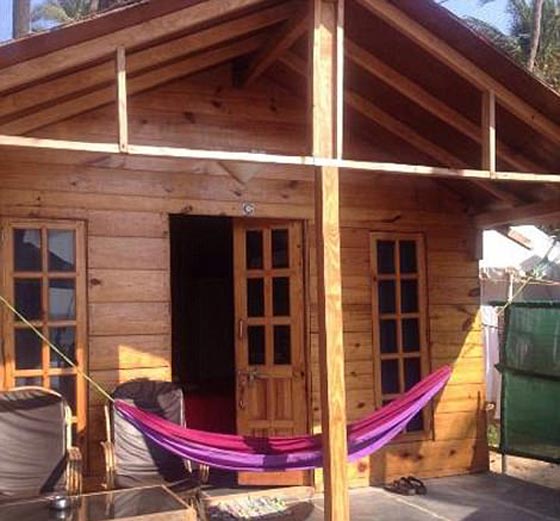 الغموض يكتنف جريمة قتل شابة بريطانية بعد اغتصابها وتشويه وجهها  صورة رقم 17