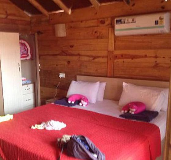 الغموض يكتنف جريمة قتل شابة بريطانية بعد اغتصابها وتشويه وجهها  صورة رقم 19