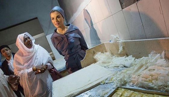 زيارة الشيخة موزة للسودان تفجر حربا اعلامية مع مصر على الاهرامات صورة رقم 12