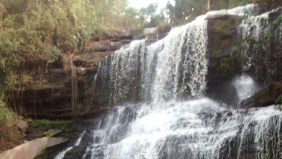 حادث غير عادي.. الاشجار تقتل 20 طالبا اثناء رحلة استجمام صورة رقم 2