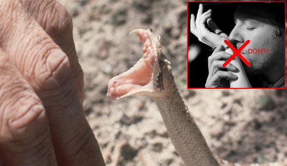 وسائل النجاة التي نشاهدها في افلام هوليوود قد تكون قاتلة في الواقع! صورة رقم 1