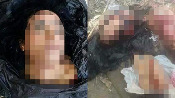   بعد قتل العروس المصرية.. العثور على فتاة أخرى مذبوحة ومقطعة! صورة رقم 1