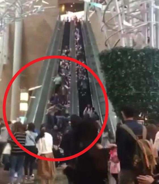 فيديو مروع.. ماذا حصل عندما غير السلم الكهربائي اتجاهه فجأة؟! صورة رقم 6