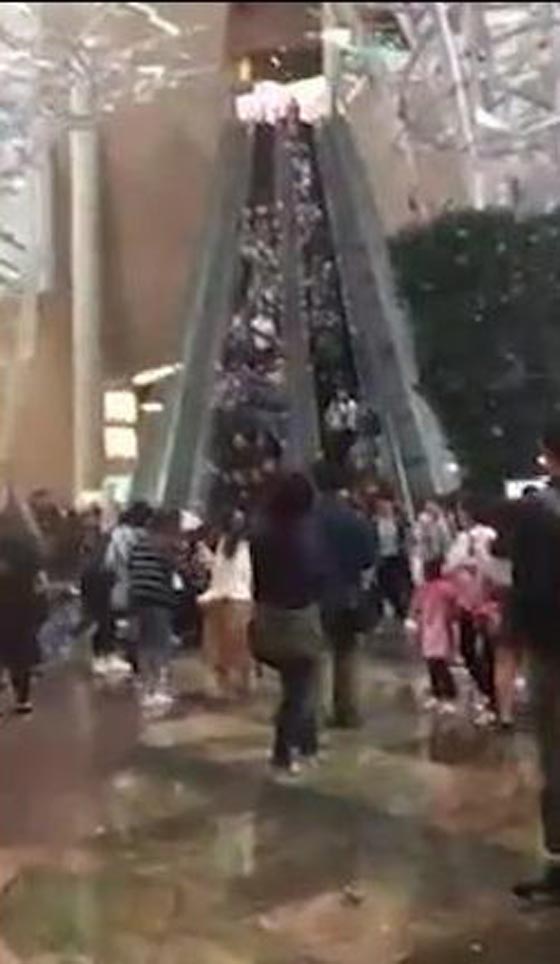 فيديو مروع.. ماذا حصل عندما غير السلم الكهربائي اتجاهه فجأة؟! صورة رقم 7