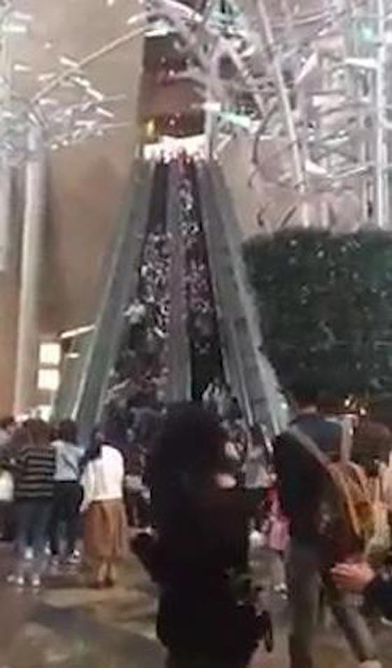 فيديو مروع.. ماذا حصل عندما غير السلم الكهربائي اتجاهه فجأة؟! صورة رقم 9