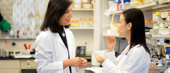 فيس بوك تمنح باحثة لبنانية جائزة اوسكار العلوم وقيمتها 3 ملايين دولار صورة رقم 2