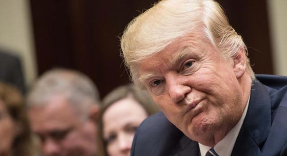 مستثمر يشتري (طفولة ترامب) باكثر من مليوني دولار.. فيديو صورة رقم 5