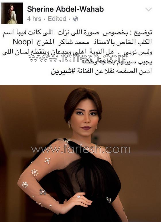5 فنانين عرب متهمين بالعنصرية والطبقية والتعالي على الفقراء! صورة رقم 2