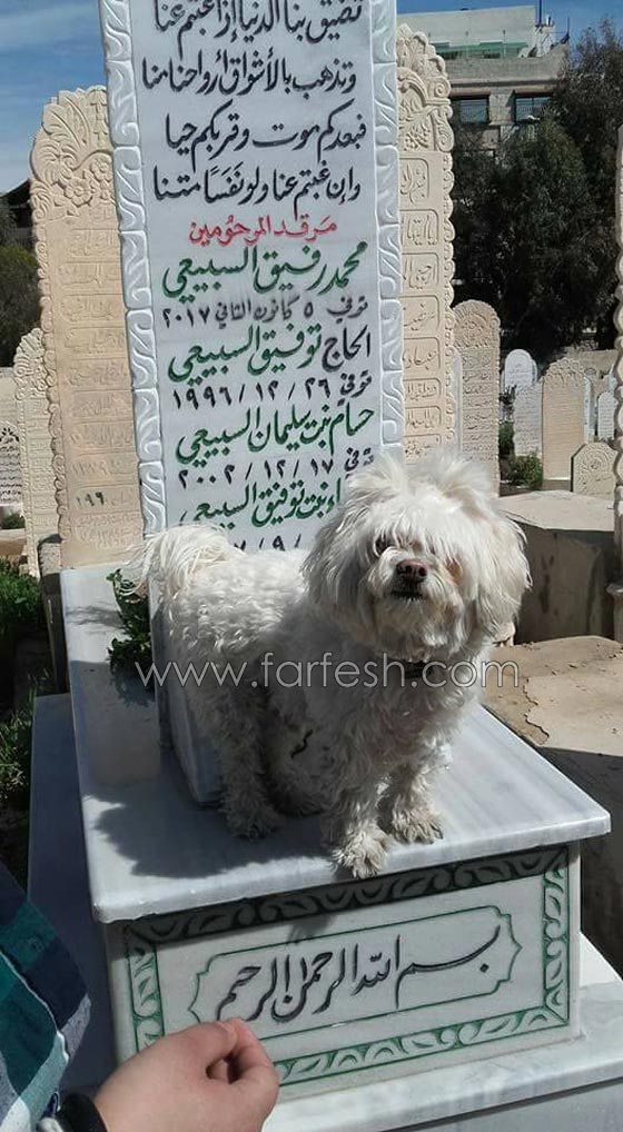 إبنة 