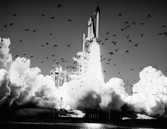 نصف قرن على تضحيات بطوليّة بسبب كوارث رحلات الفضاء صورة رقم 18