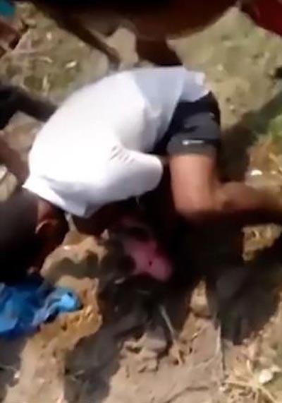  فيديو  إنقاذ رضيعة هندية بعد دفنها حية في مكب نفايات صورة رقم 1