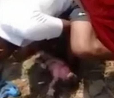  فيديو  إنقاذ رضيعة هندية بعد دفنها حية في مكب نفايات صورة رقم 4