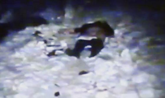 سفاح بزي شرطي.. الاب الصالح والزوج الجيد قتل 82 امرأة  صورة رقم 3