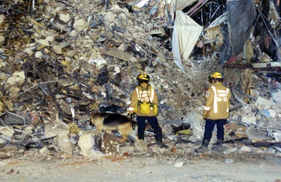  جهاز الاف بي اي ينشر لاول مرة صور الهجوم على البنتاغون في 11 سبتمبر صورة رقم 6