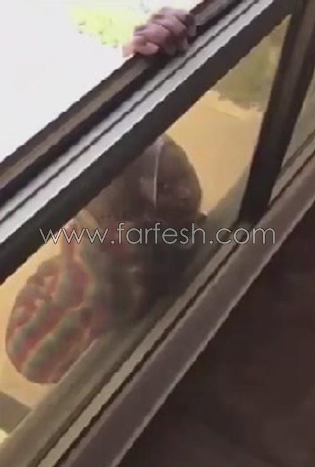 فيديو صادم.. خليجية تصور خادمتها وهي تسقط من الطابق السابع! صورة رقم 2