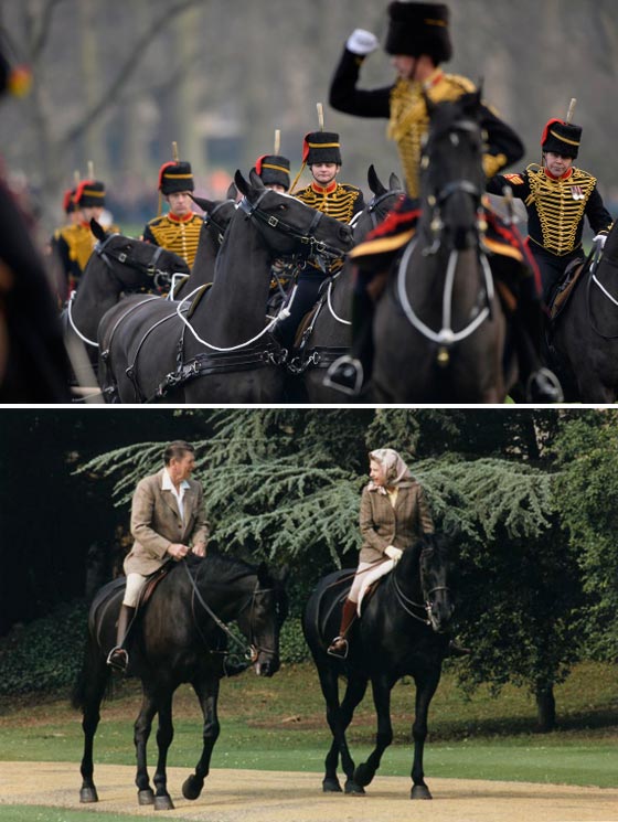 إليكم الوظائف الأعلى أجراً داخل القصر الملكي البريطاني صورة رقم 4