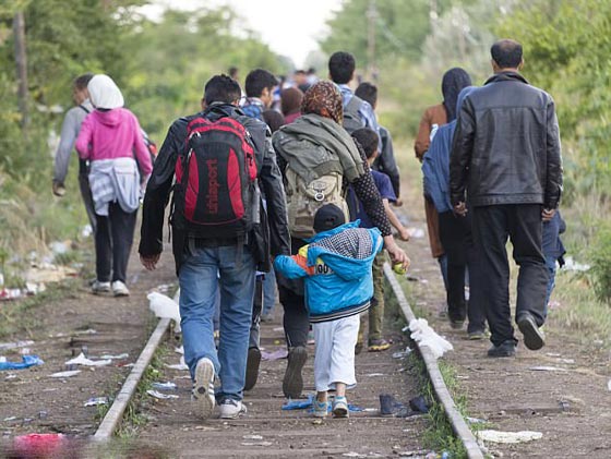 بالفيديو.. انقاذ 200 مهاجر قبالة سواحل ليبيا صورة رقم 16